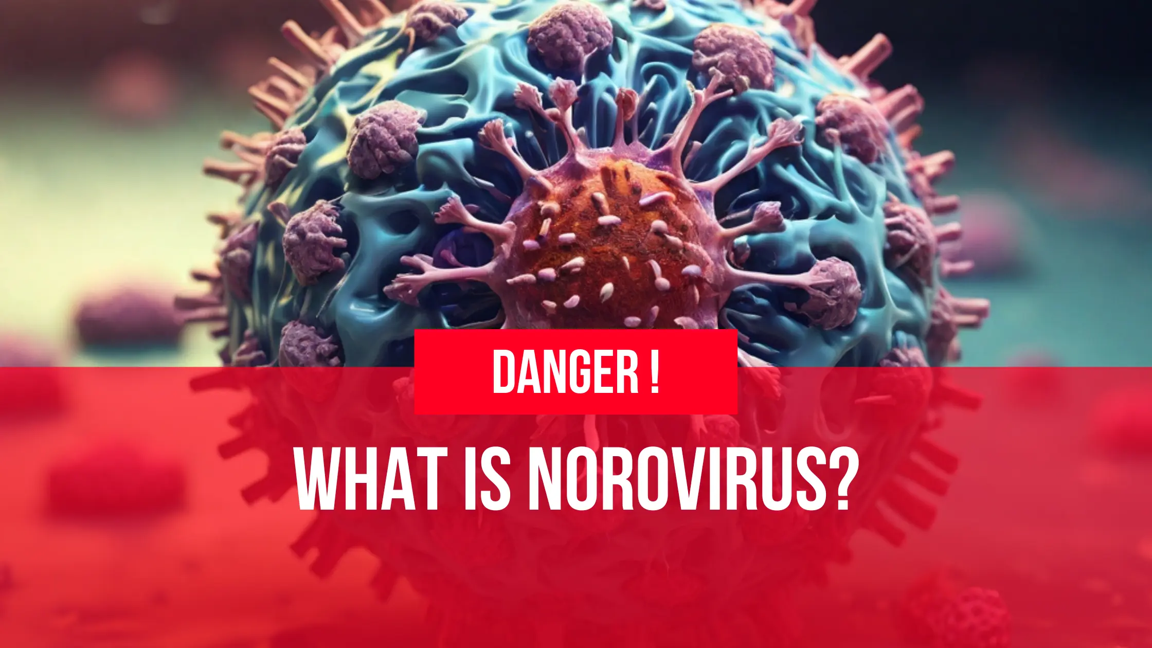 Norovirus 2023